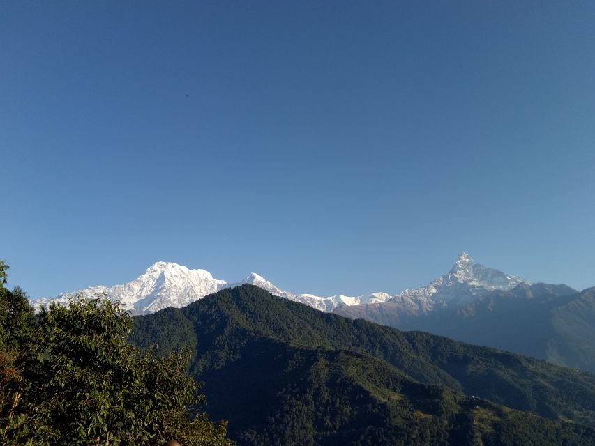 1 N 2 Days easy Dhampus,Australian camp trek from Pokhara - Day 2: Sunrise photos, breakfast, then down to Dhampus Phedi