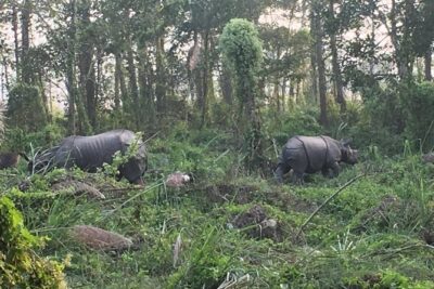 1 Night 2 Days Chitwan Jungle Safari Tour from Kathmandu - The 6:30 am Kathmandu Pickup and Bus Ride South