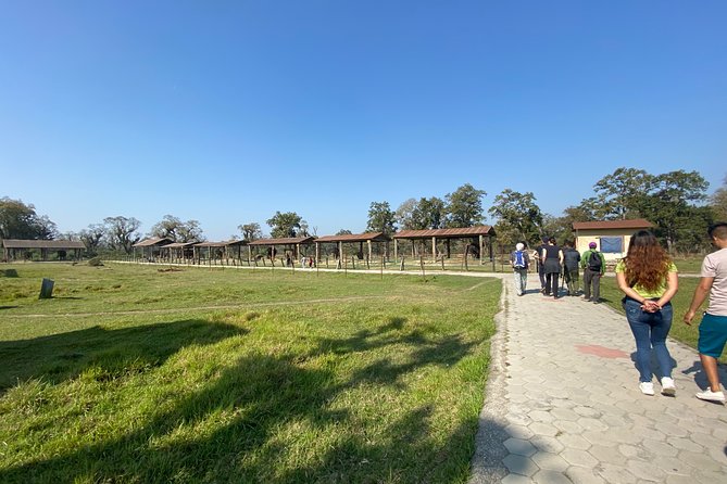 1 Night 2 Days Chitwan Jungle Safari Tour from Pokhara or Kathmandu - Guide and Group Size: Better Scanning, Less Waiting