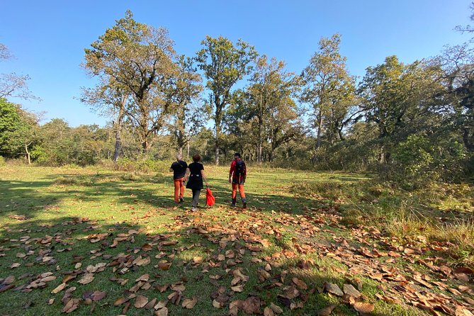 1 Night 2 Days Chitwan Jungle Safari Tour from Pokhara or Kathmandu - Day 1 in Chitwan: Jeep Safari and Rapti River Sunset