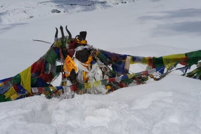 10 Days Annapurna Base Camp Trek from Kathmandu - The return route: Bamboo, Jhinu Danda, and rolling back to Pokhara