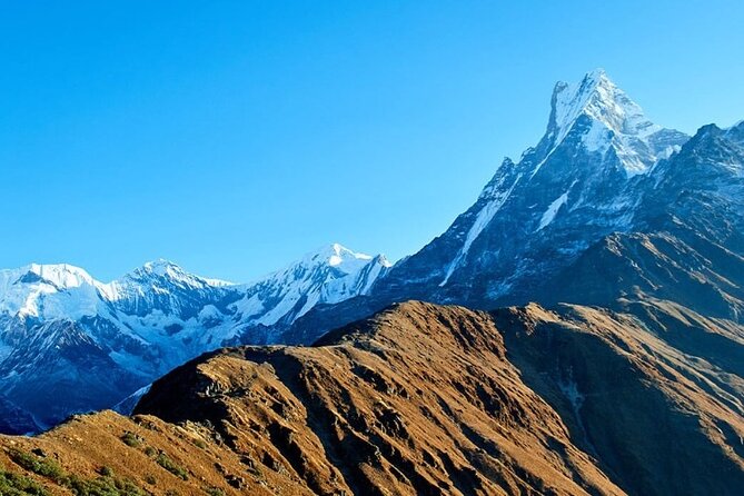 12 Days Annapurna Base Camp Trek - Ulleri stone steps and Ghorepani forests: the trek gets real early