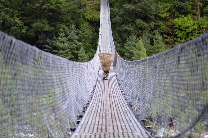 12 Days Annapurna Base Camp Trek - The Annapurna valley walk: bamboo, Himalaya, and Deurali views