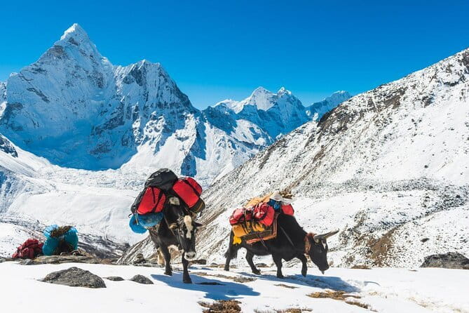 12 Days Everest Base Camp Trek from Kathmandu - Should you book CAN Travels for Everest Base Camp?