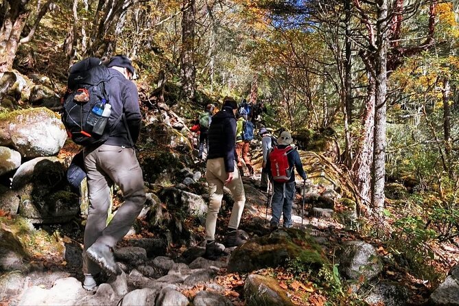 13-Day Jomolhari Festival Trek & Cultural Immersion - Lungchotse and Thimphu Cafés: A Warm-Up Before Paro Taktsang