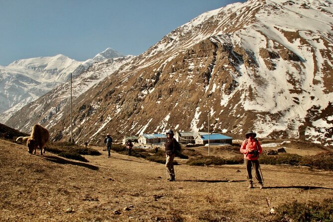 14 Days Annapurna Circuit Trek - Manang acclimatization: your safety day and your culture day