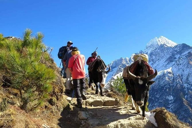 14 Days Everest Base Camp Trekking - Tyangboche and the First Big Peak Views (Day 5)