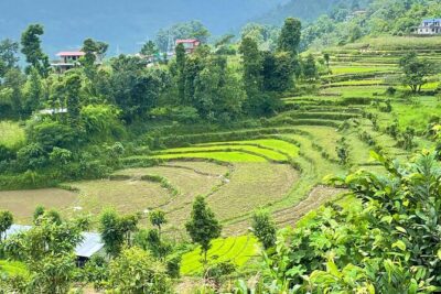 2-Day Private Trekking Tour to Australian Camp & Dhampus - Day 1 Overnight: Guest House in the Hills (Simple, With a View)