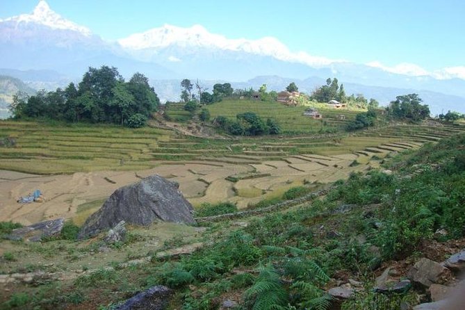 2 Days Panchase Hill Trek from Pokhara - Who Should Book This 2-Day Panchase Trek From Pokhara