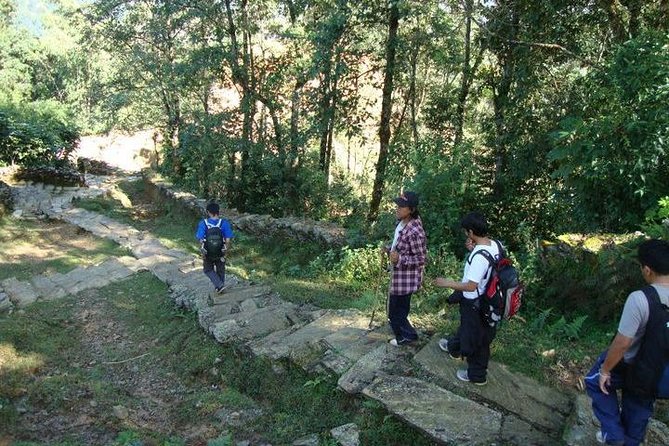 2 Days Panchase Hill Trek from Pokhara - Day 1: Naudanda to Panchase Bhajyang Through Forests and Village Life