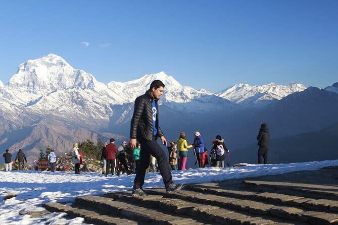 2 Days Very Short Poon Hill Trek from Pokhara - Transportation and schedule: how the 2-day structure stays workable