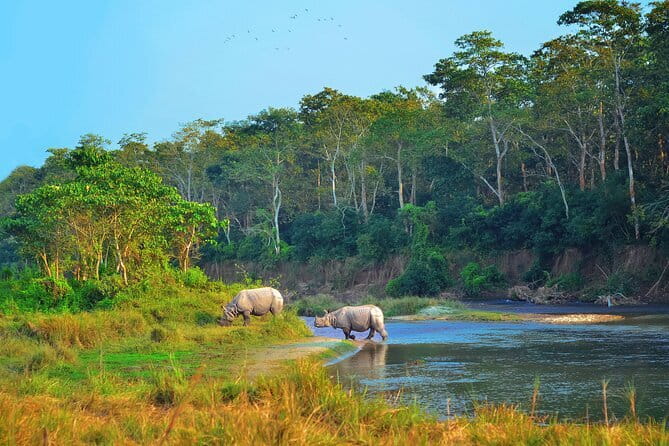 2 Night 3 Day Chitwan Jungle Safari Tour from Pokhara - Key highlights from this 2-night Chitwan safari package