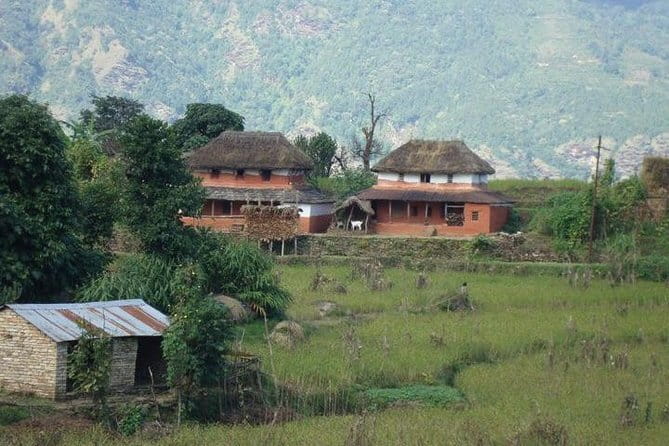 2 Night 3 Day Chitwan Jungle Safari Tour from Pokhara - Who this Chitwan tour fits best (and who should rethink it)