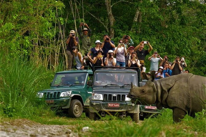 2 Night 3 Day Chitwan Jungle Safari Tour from Pokhara - The Pokhara to Sauraha transfer: road time that sets you up for the safari