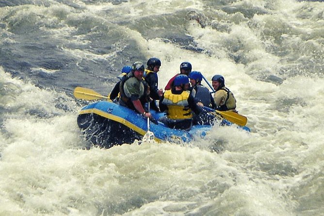 24 km White water rafting expedition in Rishikesh - Key highlights you’ll care about