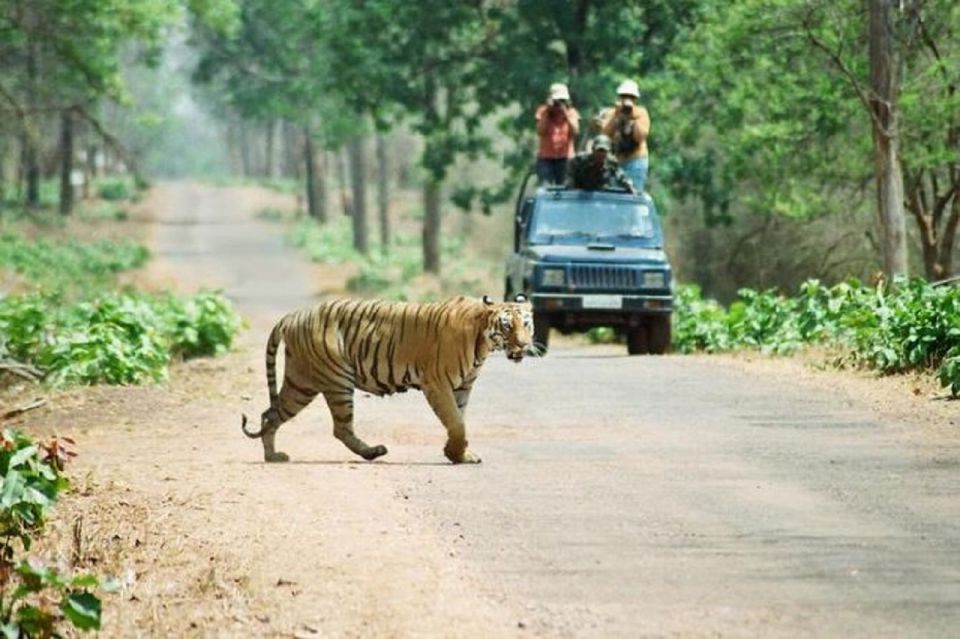 3-Day Chitwan Jungle Safari Adventure From Kathmandu/Pokhara - Key Points You Should Know Before You Go