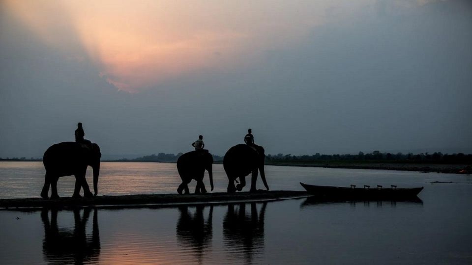 3-Day Chitwan Jungle Safari Adventure From Kathmandu/Pokhara - Day 3: Breakfast, Departing from Sauraha, and Back to Kathmandu or Pokhara