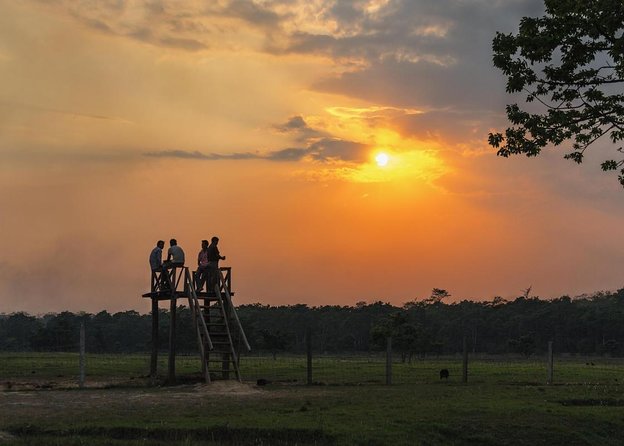 3-Day Chitwan Jungle Safari Tour from Kathmandu - Key points before you go