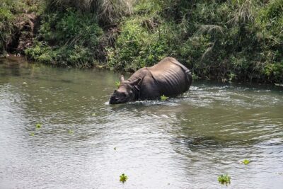 3-Day Chitwan Jungle Safari Tour from Kathmandu - Day 1: Tharu village time and why it’s more than a cultural add-on