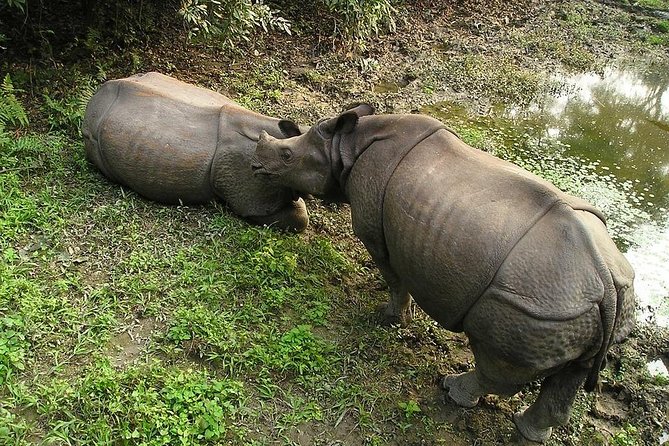 3-Day Chitwan Jungle Safari Tour from Kathmandu - Safari time across the trip: jeep rides and park spotting chances