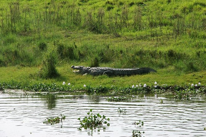 3-Day Chitwan Jungle Safari Tour from Kathmandu - Where you sleep: two nights at a 3-star lodge