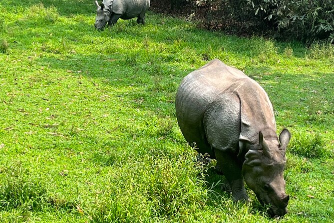 3-Day Guided Safari Tour in Chitwan National Park in Nepal - Why Chitwan works for a 3-day safari (not just a day trip)