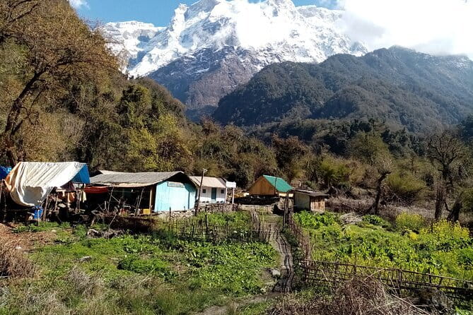 3 Day Kapuche Glacier Lake Trek with Siklesh from Pokhara - Practical Tips That Will Make This Trek Easier