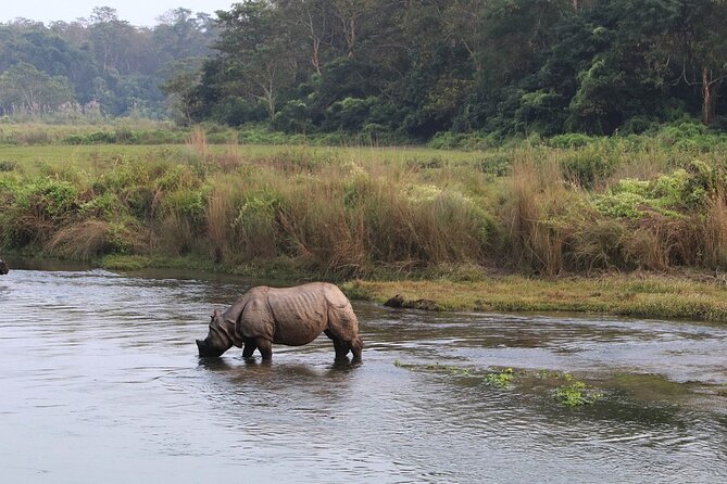 3 Days and 2 Nights Chitwan National Park Safari Tour in Pokhara - How the 3-day Chitwan safari runs from Pokhara