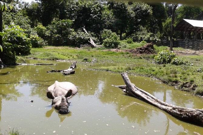3 Days and 2 Nights Chitwan National Park Safari Tour in Pokhara - Day 3 travel back: breakfast, check-out, then onward to Pokhara/Kathmandu