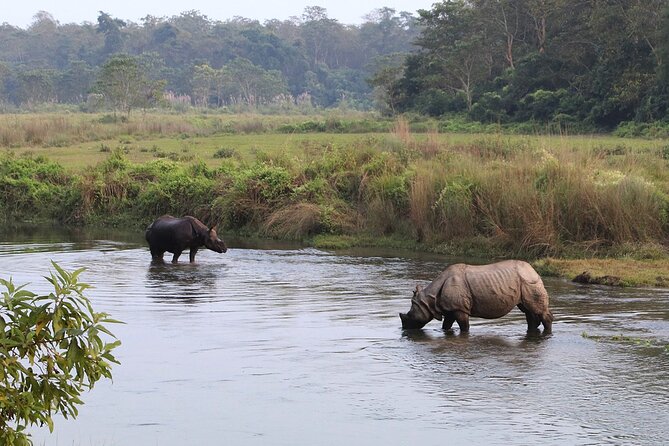 3 Days and 2 Nights Chitwan National Park Safari Tour in Pokhara - The people factor: organization, follow-up, and comfort