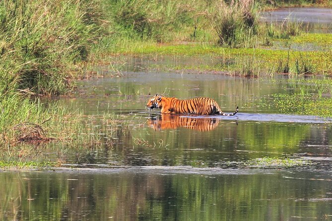 3 Days and 2 Nights Chitwan National Park Safari Tour in Pokhara - Who should book this Chitwan safari (and who should think twice)