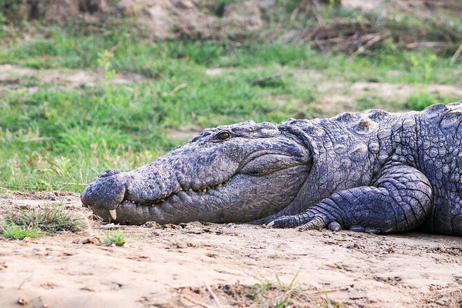 3 Days and 2 Nights Chitwan National Park Safari Tour in Pokhara - Practical tips so you have an easier time