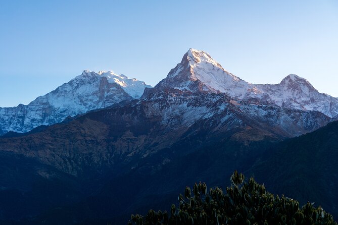 3 Days Ghorepani and Poonhill Private Trek from Pokhara - Day 2: Ulleri Stairs to Ghorepani at Around 2,840m