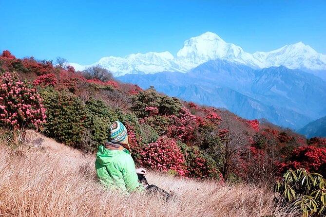 3 Days Ghorepani and Poonhill Private Trek from Pokhara - Price and Logistics: What $160 Gets You, and What It Doesn’t