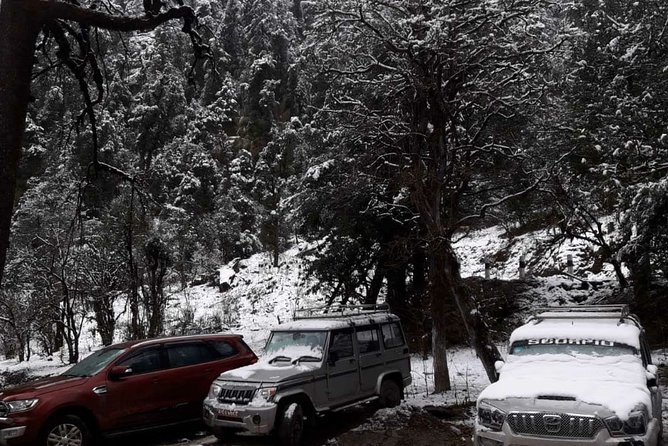 3 Days Kalinchowk Trekking from Kathmandu - Getting There: Kathmandu to Charikot to Kuri Without the Headache