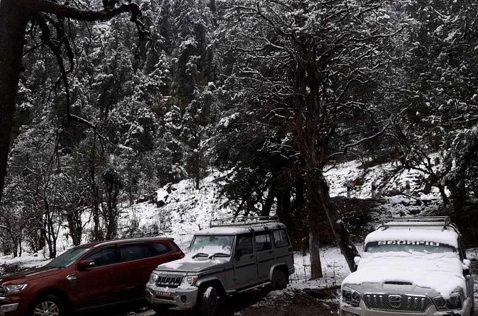 3 Days Kalinchowk Trekking from Kathmandu - Meals Not Included: How to Keep Food Simple (and Actually Enjoyable)