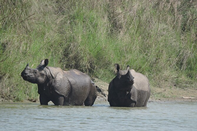 3 Nights 4 Days Bardia Tiger Tracking Tour | Bardia Jungle Safari - Key highlights