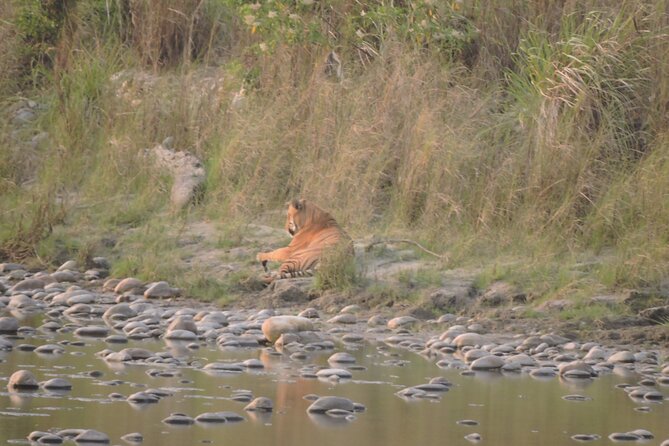 3 Nights 4 Days Bardia Tiger Tracking Tour | Bardia Jungle Safari - Food, A/C Lodging, and What Is Actually Covered