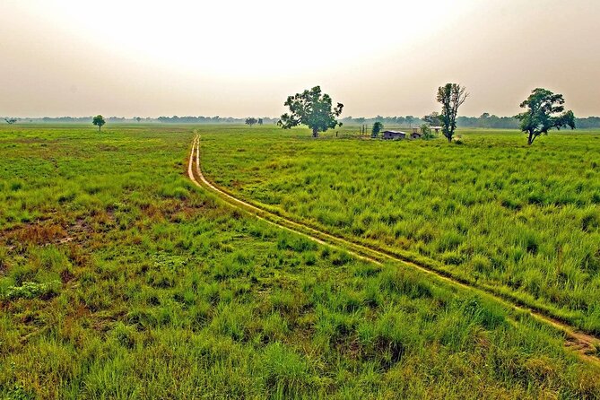 3 Nights 4 Days Chitwan National Park with Tower Night Stay - Why Chitwan’s wooden tower night is the main event