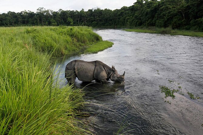 3 Nights 4 Days Chitwan National Park with Tower Night Stay - Day 3: Jeep safari after a light breakfast plus the crocodile breeding stop