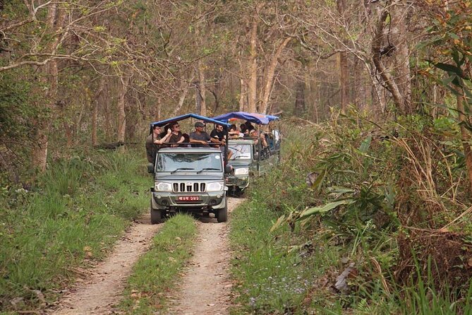 3 Nights 4 Days Chitwan National Park with Tower Night Stay - Accommodation reality: resort comfort vs. real jungle simplicity