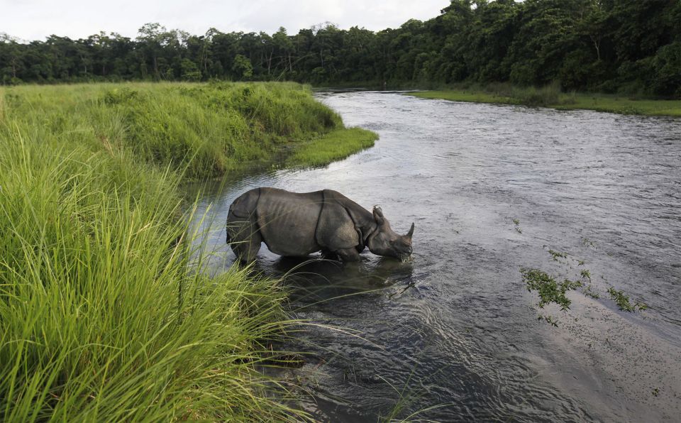 3 Nights 4 Days Chitwan National Park with Tower Night Stay - Getting there and back: bus time and small-group comfort (up to 15)