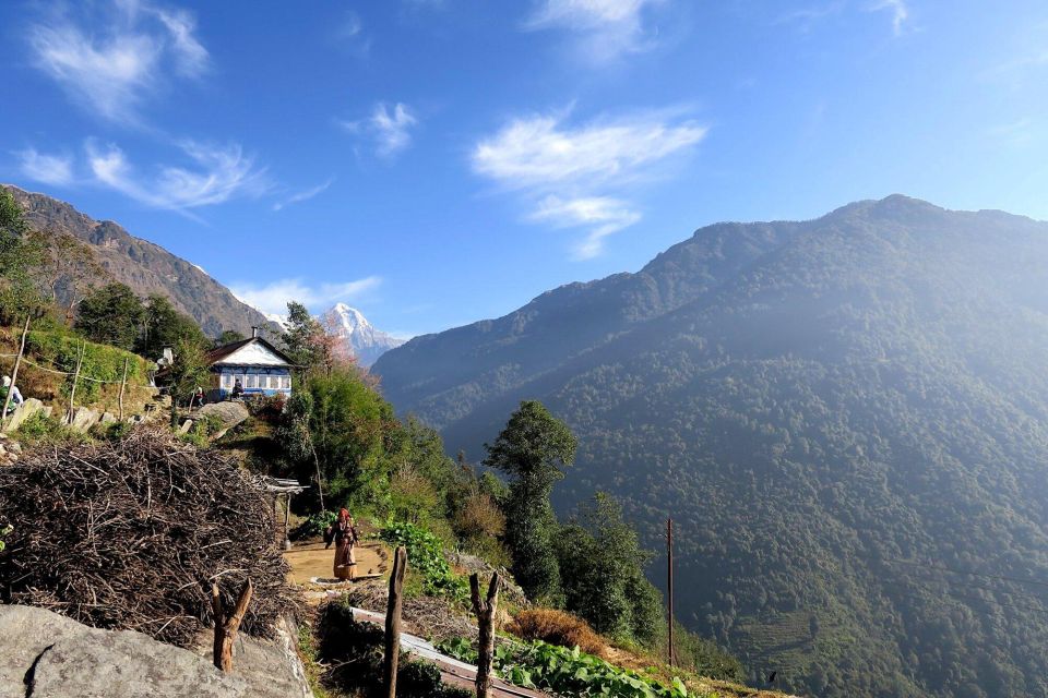 4 Day Poon Hill Trek from Pokhara - Price and Logistics: Getting Real Value for $272
