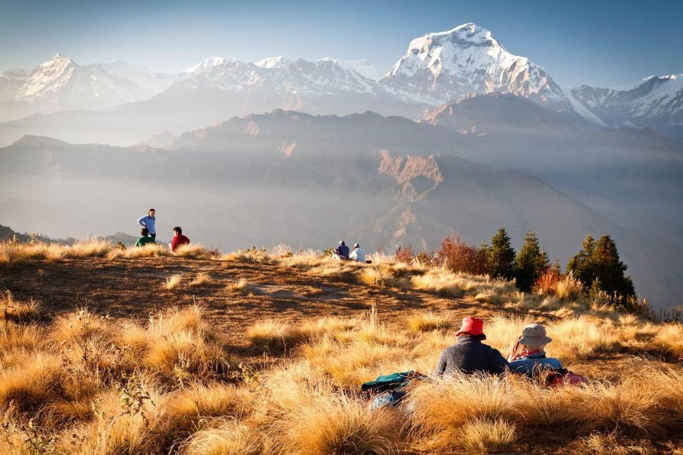 4 Day Poon Hill Trek from Pokhara - What You’ll Walk Through: Steps, Forests, and Village Stops