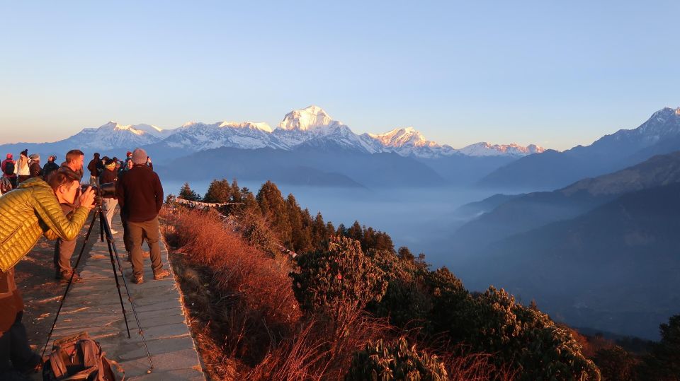 4 Day Poon Hill Trek from Pokhara - Day 2: Tikhedhunga to Ghorepani via Ulleri Steps