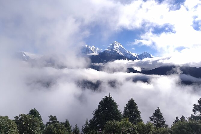 4-Days Amazing Short Trekking of Pokhara Valley - Day 4: Ghandruk Down to Birethanti, Rhododendron Forests, and the Old Gurung Museum