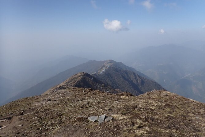 4 Days Mardi Himal Base Camp Trek from Pokhara - Day 2 through dense evergreen forest: steady effort, fewer interruptions