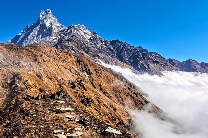 4 Days Mardi Himal Base Camp Trekking in Pokhara - Guides, Safety, and the Solo-Traveler Advantage