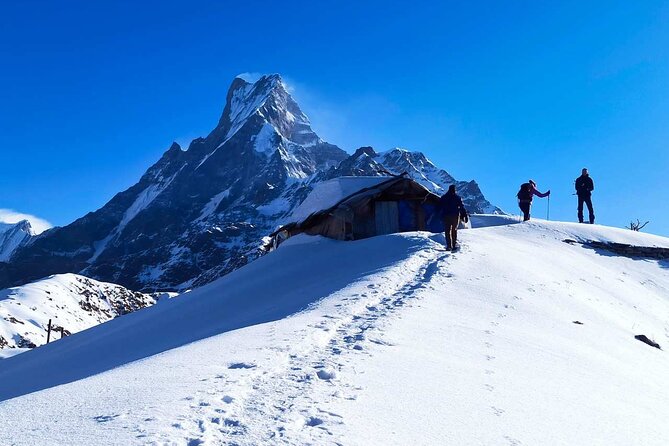 4 Days Mardi Himal Base Camp Trekking in Pokhara - Kande to Australian Camp to Forest Camp: Your First Real Taste of Mardi Himal