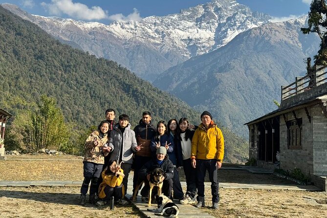 5 Day Mardi Himal Base Camp Trek in Pokhara - Low Camp to High Camp (via Middle Camp): Oak and Rhododendron Gaps to Higher Air
